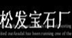 松發寶石松發寶石