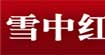 雪中紅