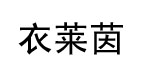 衣萊茵衣萊茵