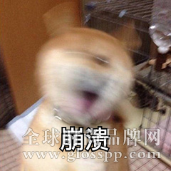 復工口罩臉脆弱不堪，薇妮安瓶拯救肌膚“玻璃心” 